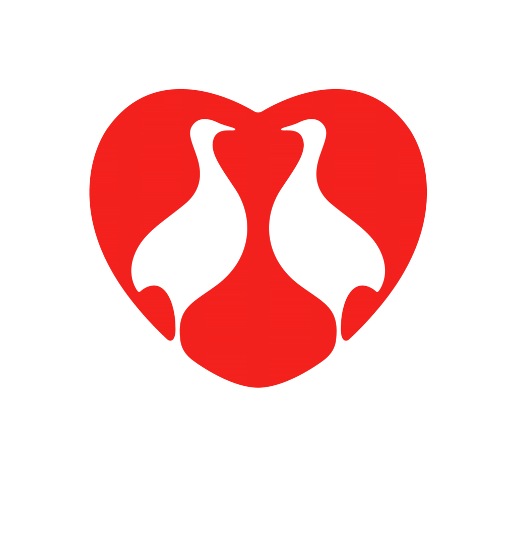 Perdigão